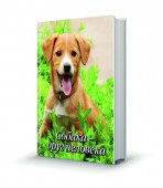 59-3_имитация книжки